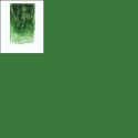 bruise green
