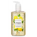 sunshine & lemons