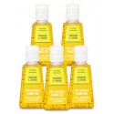 sunshine lemons