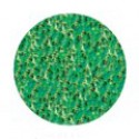 4 g, Neon Green