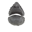 большая